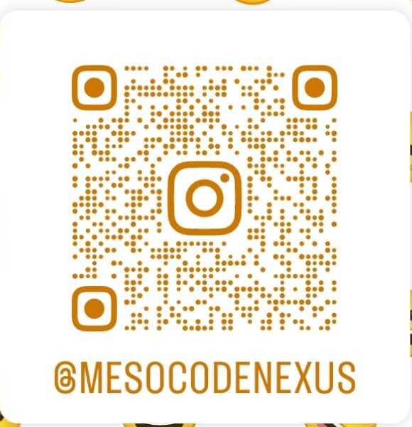 Instagram QR code for @mesocodenexus